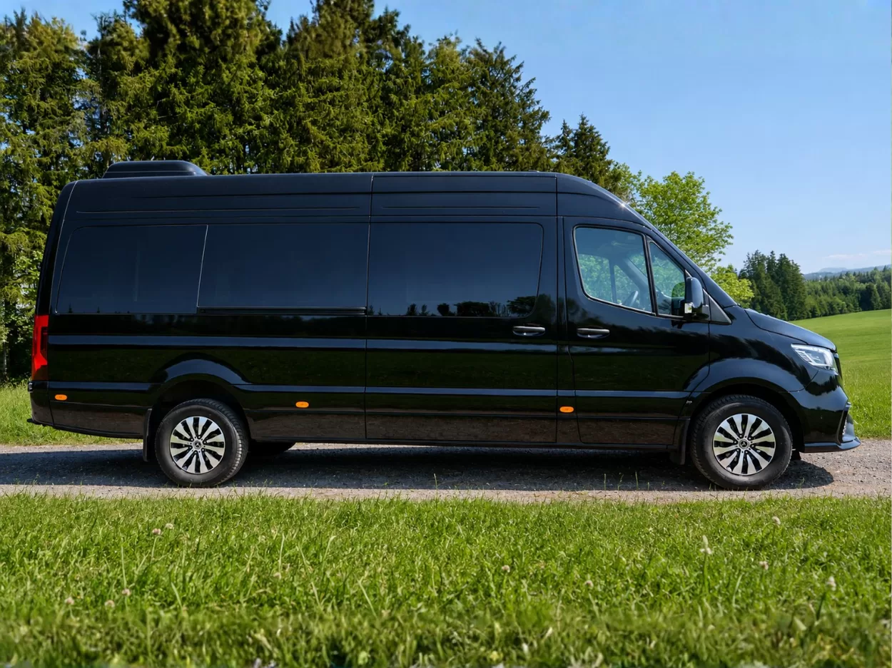 319 CDI VIP BusinessVan 9G-TRONIC LED
