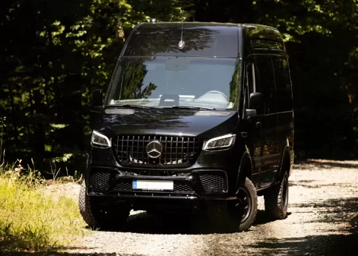 VIP-BusinessVan-tall