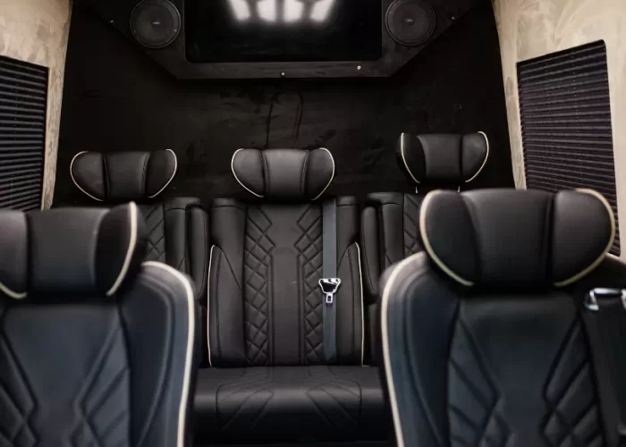 VIP-BusinessVan-tall11