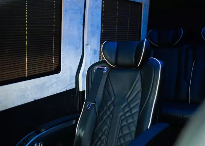 VIP-BusinessVan-tall20
