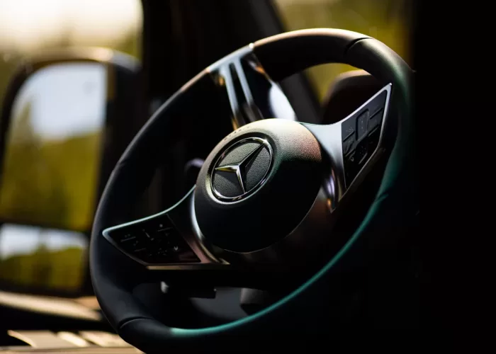 VIP-BusinessVan19