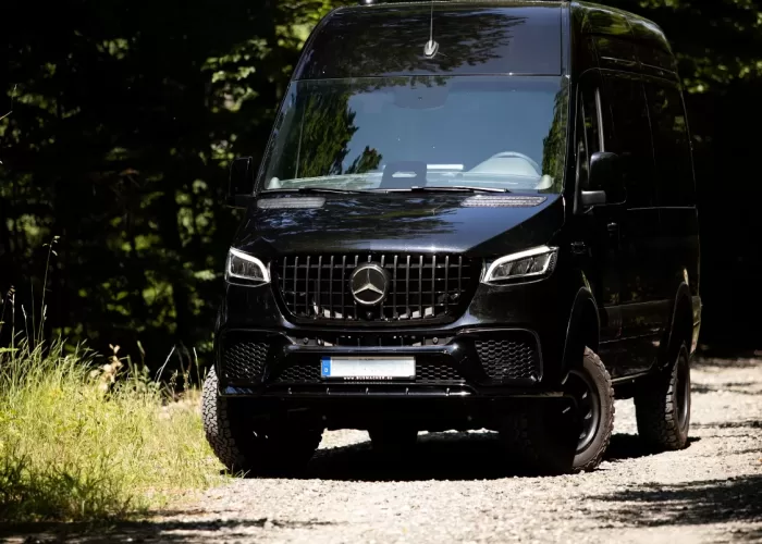 VIP-BusinessVan2