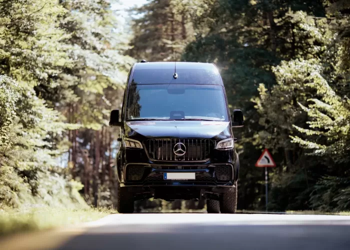 VIP-BusinessVan22