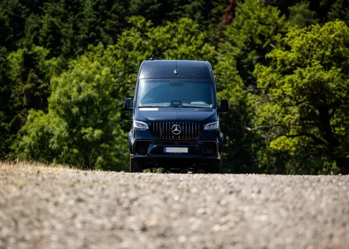 VIP-BusinessVan3