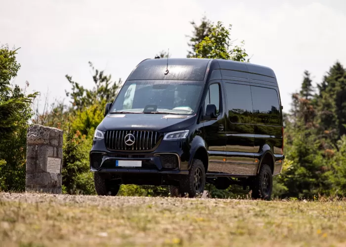 VIP-BusinessVan4