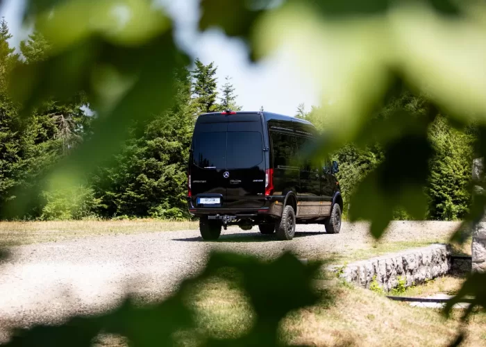 VIP-BusinessVan7